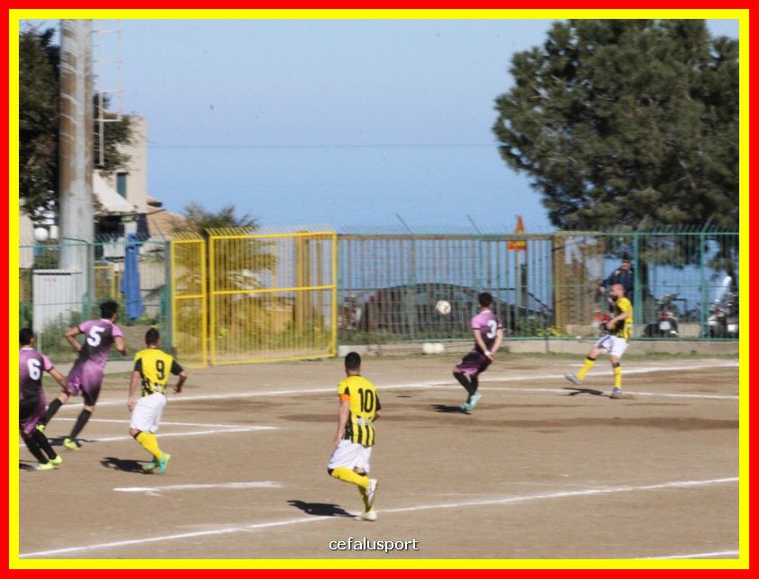 190310 Cephal_Torrenov 063_tn.jpg